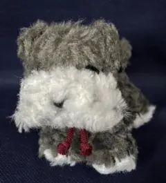 Item thumbnail for item b0427d1c-050b-4142-8e80-4e0564429834