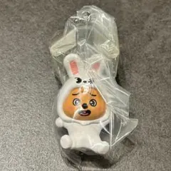 skzoo ハンクオッカ　つまんでつなげて　リービット　ボールチェーン　味噌