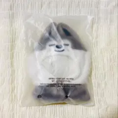 StrayKids MD アウトフィット ウルフチャン バンチャン