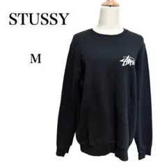 STUSSY ステューシー スウェット トレーナー 長袖 ロゴ バックプリントM