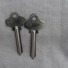 珍しいキーです。
