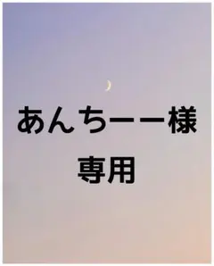 あんちーー様 専用