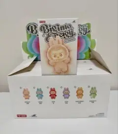【正規品・未開封】 Labubu Big into Energy 1 箱