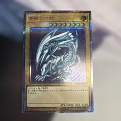 2026年最新】青眼の白龍 20th wcs2018の人気アイテム - メルカリ