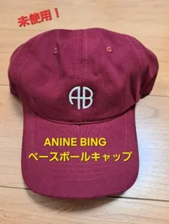 2026年最新】anine bing キャップの人気アイテム - メルカリ