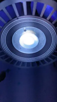 2026年最新】グラッシーレディオの人気アイテム - メルカリ