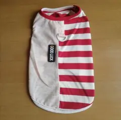 【新品未使用】犬服　Mサイズ　レッド　ボーダー柄のサムネイル