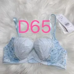 トリンプ 天使のブラ スリムライン 極上ライト594 青 D65