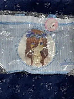 Item thumbnail for item ff510b04-bcc6-48bc-adca-b119e077e8ca