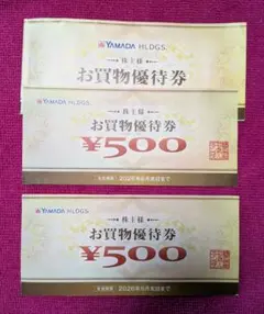 ヤマダ電機　YAMADA HLDGS. お買物優待券 ¥500✕２枚