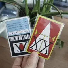 最安値　ハンターハンター　ライセンスカード2枚　HUNTER×HUNTER