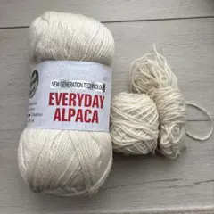 EVERYDAY ALPACA 1玉＋おまけ