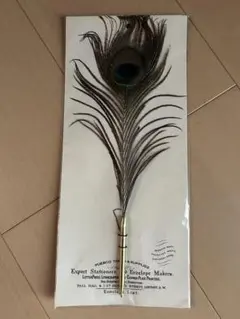 Item thumbnail for item bd478ad7-8674-4560-8d71-bde8715ebcc7