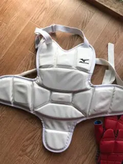 Item thumbnail for item a4f3a52a-3e8e-4219-8168-eb3b2088c725