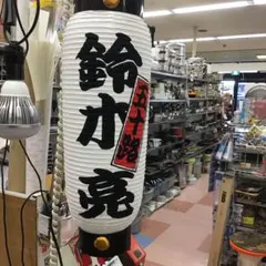 Item thumbnail for item 53e3f171-c2b4-4246-8fbb-174bf178b8d6