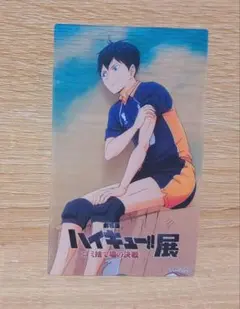 劇場版ハイキュー展 ゴミ捨て場の決戦 カード 影山飛雄