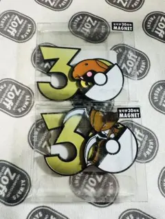 ナックラー　ビブラーバ　フライゴン　ポケモン　30周年　マグネット ポケモン 30周年記念 マグネット 2種セット ナックラー ビブラーバ