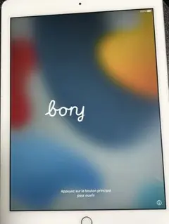 大*元様 Apple iPad air2 シルバー 64G