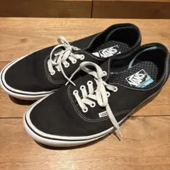 数時間使用　vans コンフィクッシュ　オーセンティック　ヴァンズ　野村訓市 数時間使用 vans コンフィクッシュ オーセンティック ヴァンズ 野村訓