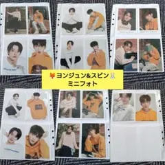 txt ヨンジュン スビン ミニフォト