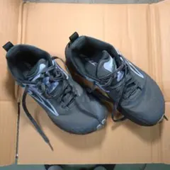 Item thumbnail for item fe0c1966-3765-421e-91aa-9cb083161bdd