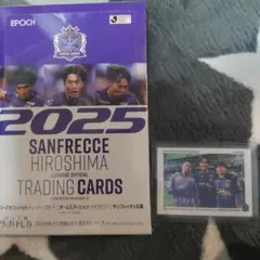サンフレッチェ広島 スポーツカード