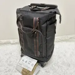 ⭐️美品⭐️SWANY スワニー ティノ・サコII ソフトキャリー 12L