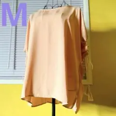 Item thumbnail for item 87fcf049-c2d8-4089-8bd0-46faf8786bcd