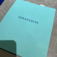 TIFFANY&CO. ショップ袋 ショッパー