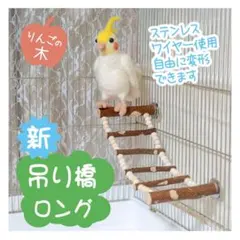 Item thumbnail for item fcb73f6d-1582-43ed-a957-8b75dd7741d4