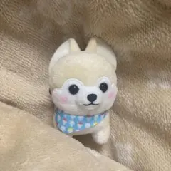 豆しば　三兄弟