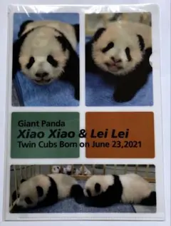 2026年最新】上野動物園シャオシャオレイレイの人気アイテム - メルカリ