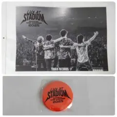 Official髭男dism タワレコ 特典 A3クリアポスター 日産スタジアム