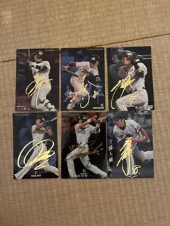 サイン入りプロ野球トレーディングカードセット