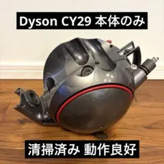 ダイソン 電気掃除機 DC22 【消毒/清掃/動作確認済】 - メルカリ