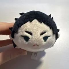 ハイキュー 赤葦京治 ぬいぐるみ