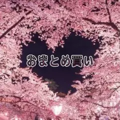 ごろチキ様 リクエスト 2点 まとめ商品