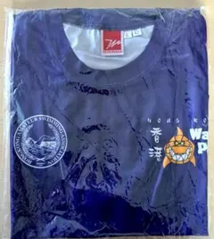 Item thumbnail for item 924573e2-c8d3-46cd-86b4-bf8bafa541cd