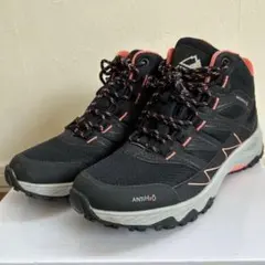 Item thumbnail for item f29cc4ad-1f6e-4022-843e-57f5ff30e5e7