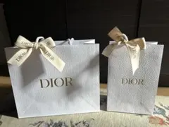 最新　DIOR リボン付きショッパー2点セット