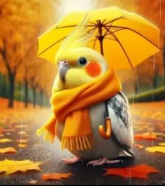 ダイヤモンドアート30×30雨の日のインコ　オシャレな小鳥　作成キット