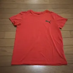 PUMA Tシャツ レッド 150cm