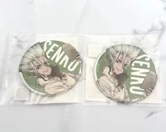 Dr.STONE まるくじ 缶バッジ 石神千空