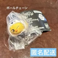 スキズ SKZOO つまんでつなげてますこっと ポガリ