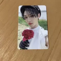 Straykids MAXIDENT トレカ フィリックス