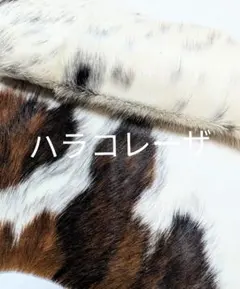 Item thumbnail for item b5d80627-ba06-45a1-aa34-da37daadc59f