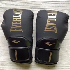 【新品‼️】Everlast Elite 2 ボクシンググローブ 16オンスのサムネイル
