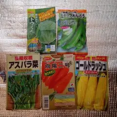 野菜種子 まとめ売り 大量セット⭐️ - メルカリ