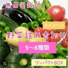 クロミ様専用