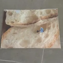 パペットスンスン　東京駅　クリアファイル